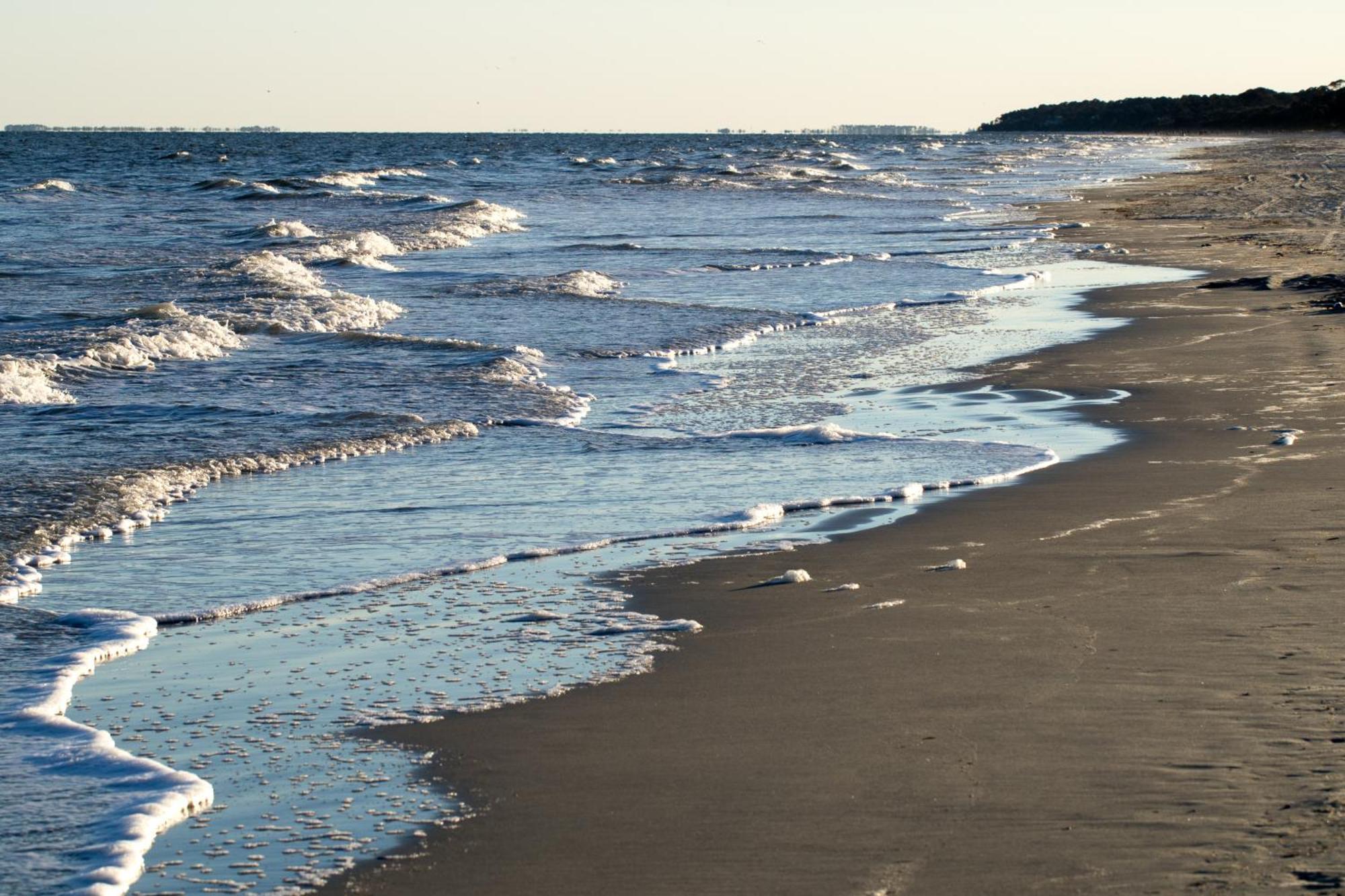 Racquet Club Villas Hilton Head Island Rum bild